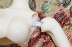 DSC01865