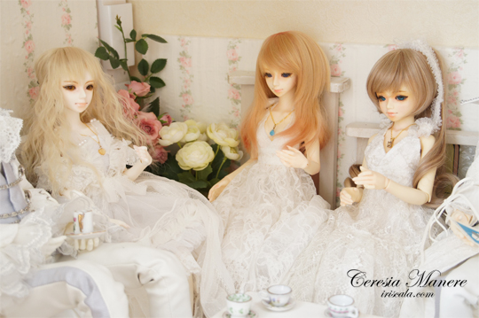 DSC02700