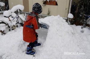 DSC00142