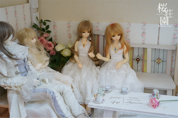 DSC00520