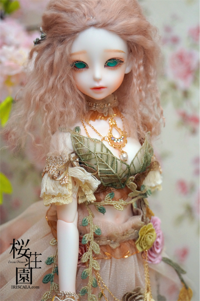 DSC00834