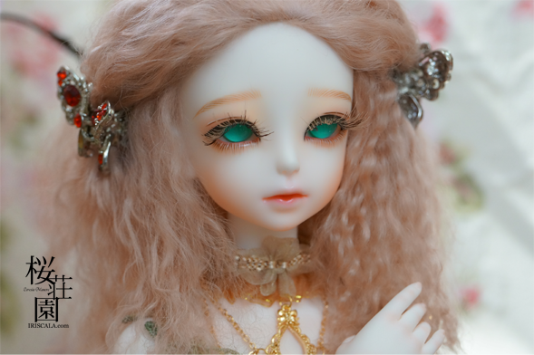 DSC00998