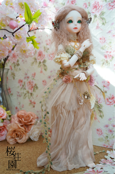 DSC01000