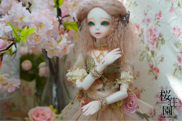 DSC01005