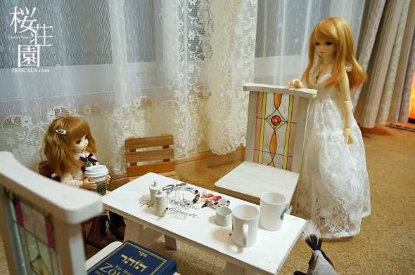 DSC00731