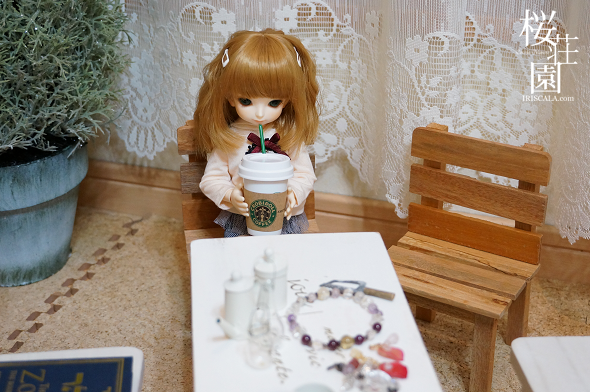 DSC00732