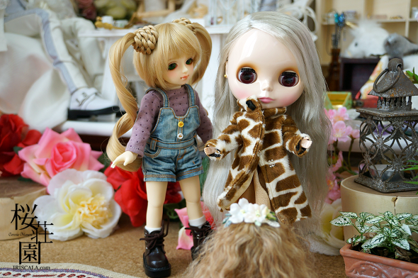 DSC01507