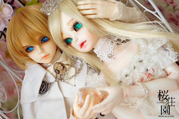 DSC01509