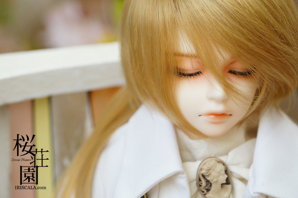 DSC03101