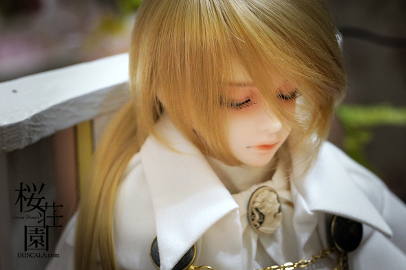 DSC03132