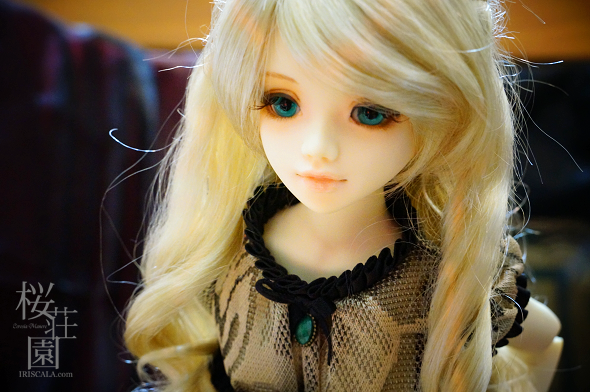 DSC04118