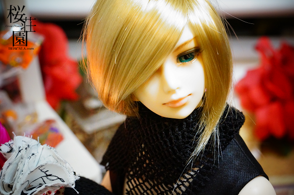 DSC04124