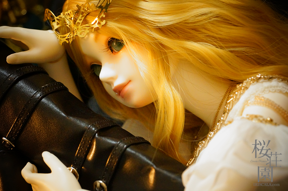 DSC04221