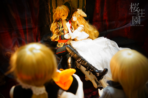 DSC04225