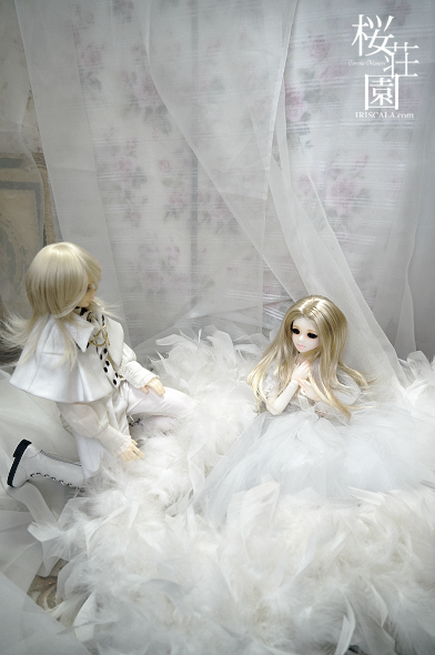 DSC05196a