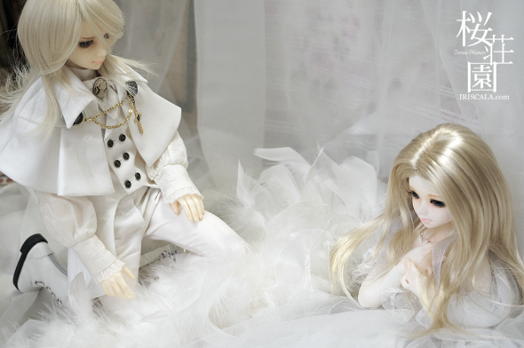 DSC05201a