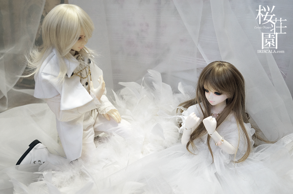 DSC05207a