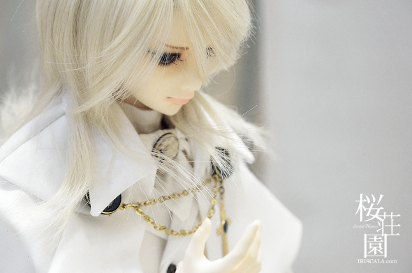 DSC05213a