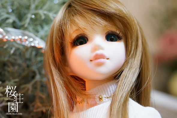 DSC05235