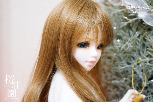 DSC05252