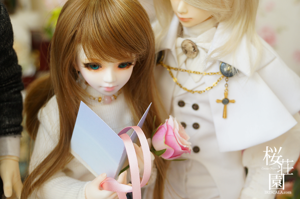 DSC05347