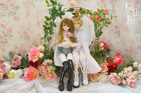 DSC05373