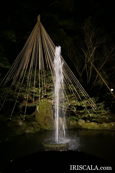 DSC06337