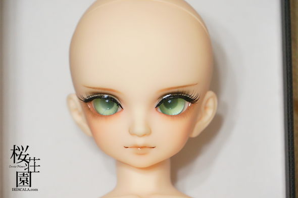 DSC09053