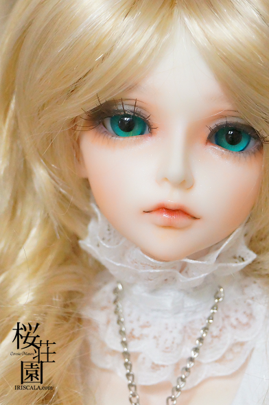 DSC00268