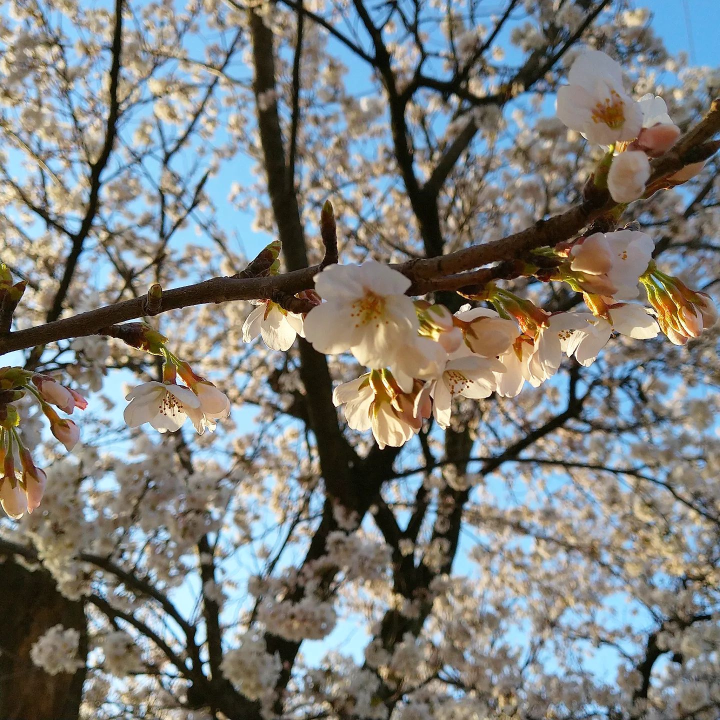 瑞馨庵の作業場 - Instagram Image